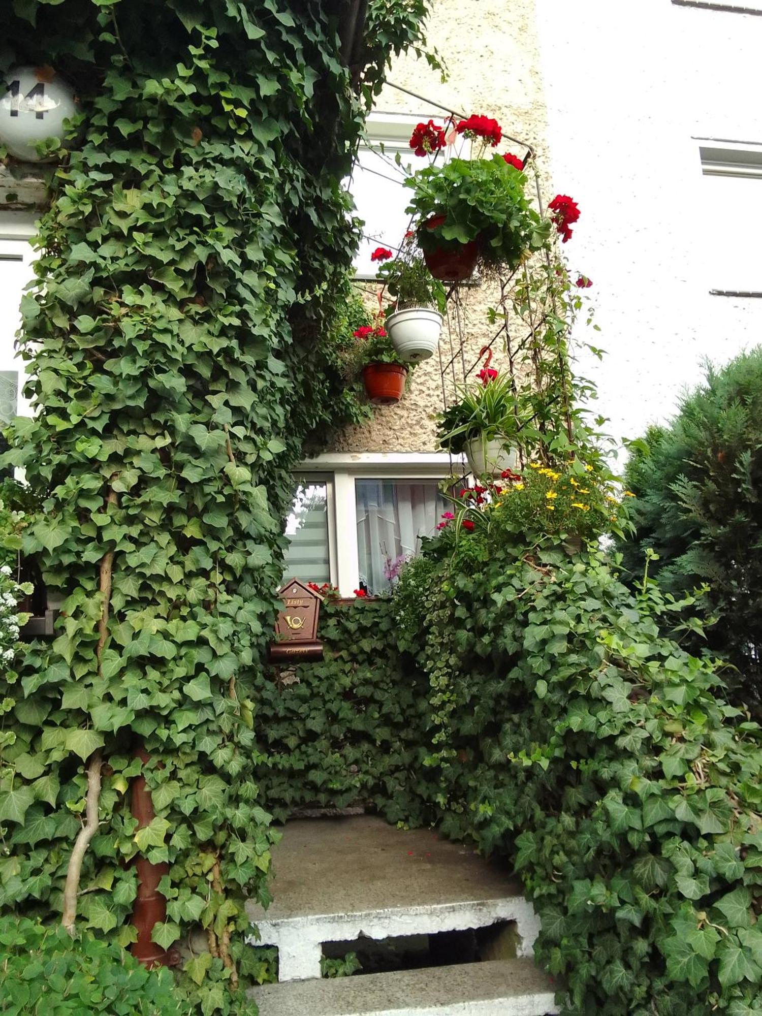 Pod Bluszczem Apartment Swinoujscie Bilik gambar